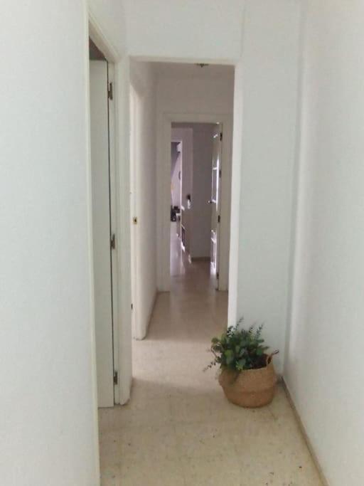 Apartamento Plaza Toros Sevilha Exterior foto
